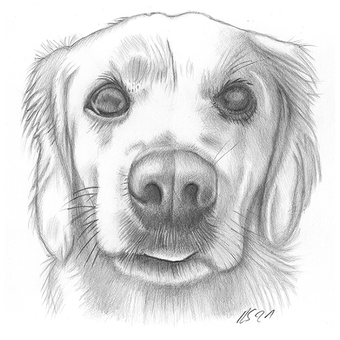 Robert Schmid Grafik Isny im Allgäu