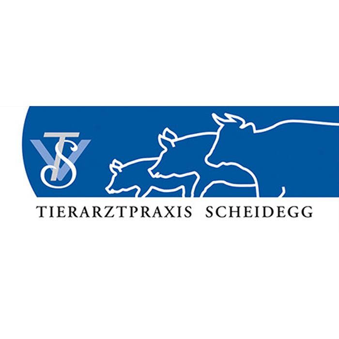 Robert Schmid Grafik Isny im Allgäu